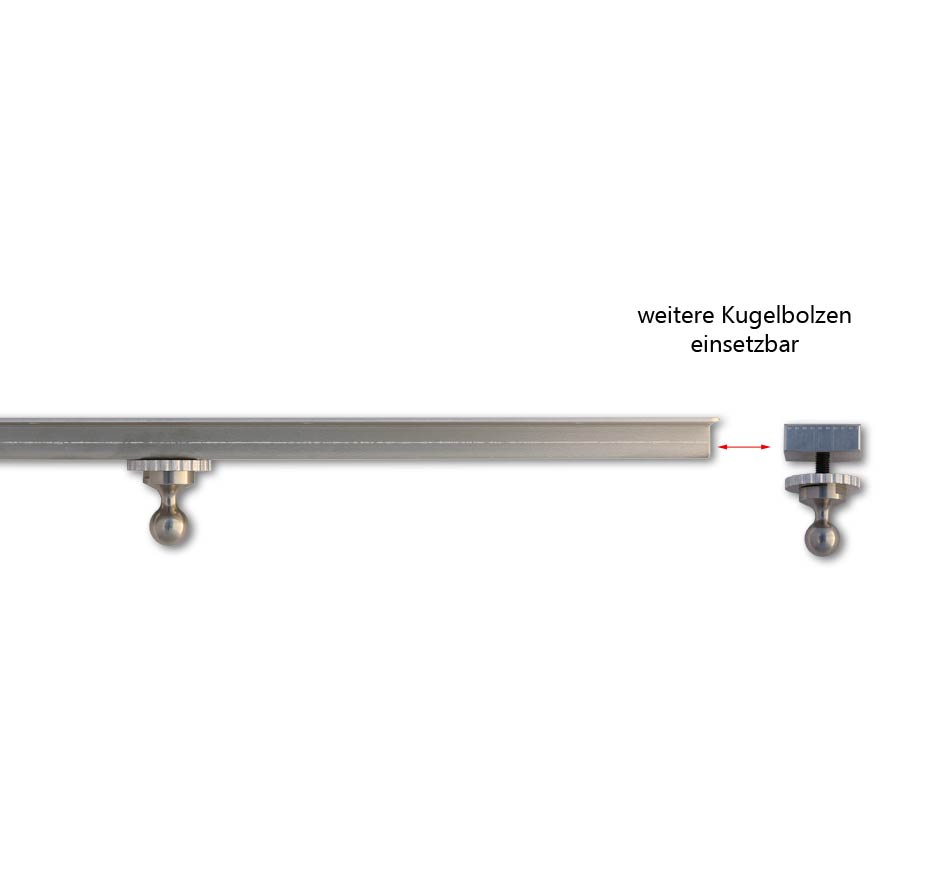 Kugelbolzenset-einsetzen-in-Schiene
