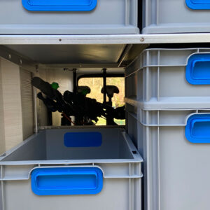 Ausziehbare Eurobox im youRS Regalsystem eines Chausson Wohnmobils